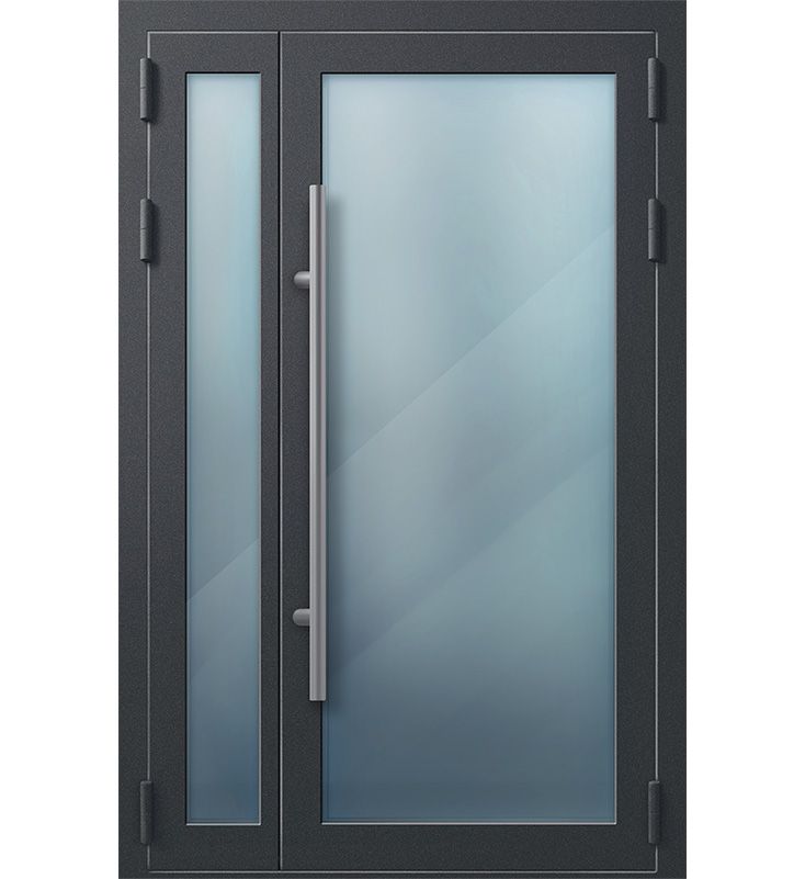 Техническая дверь Мегатрон ДПМ WINMAX 1 (EIWS 60)